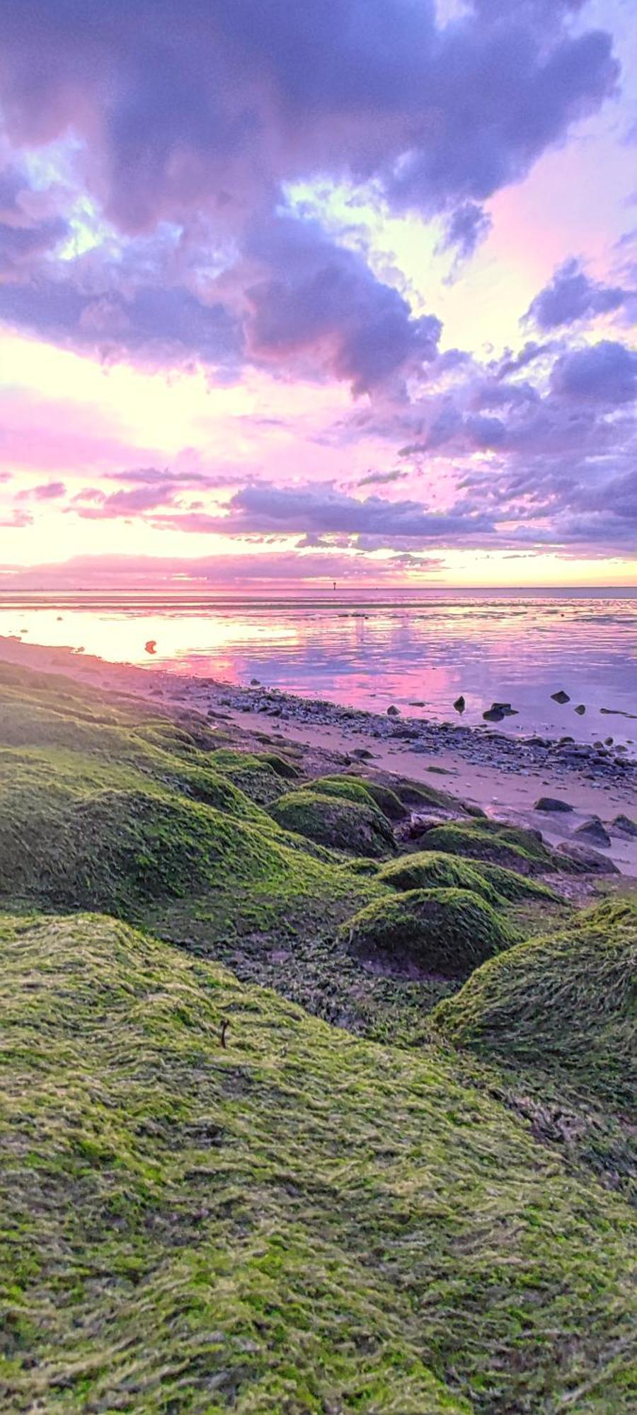 Nordseezimmer Koi ออตเทิร์นดอร์ฟ ภายนอก รูปภาพ